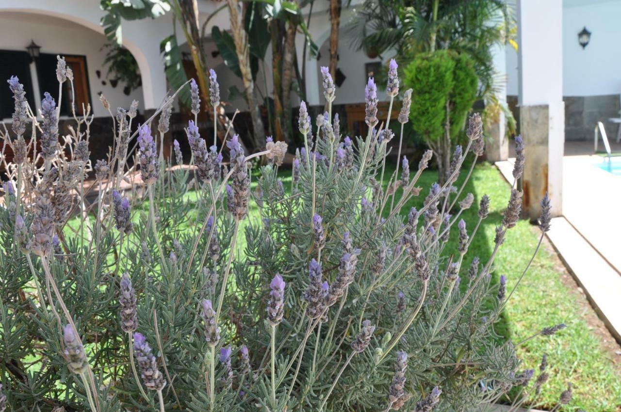 Bonita Casa Calida Para El Relax Con Wifi Valsequillo de Gran Canaria Ngoại thất bức ảnh